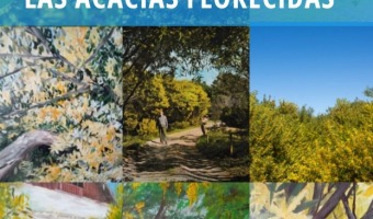 AGOSTO, MES DE LAS ACACIAS FLORECIDAS ES LA NUEVA EXPOSICIN DEL CHALET DE DON CARLOS